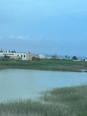 A coastal area with buildings, a body of water, and some vegetation.