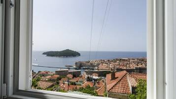 Vista desde la propiedad