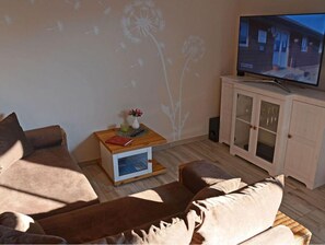 Televisor 