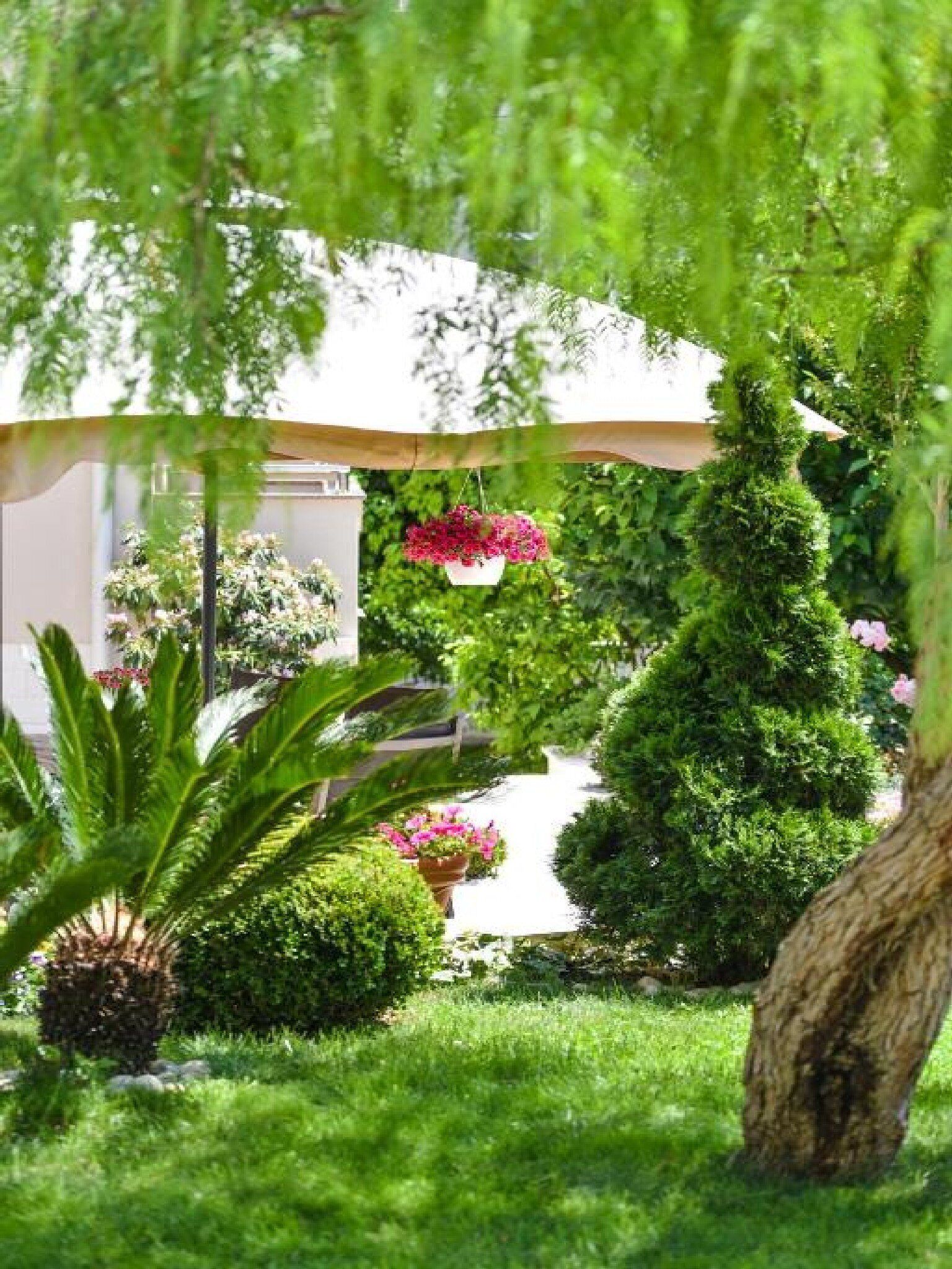 A well-maintained garden with various plants and flowers, a pathway, and a building in the background.