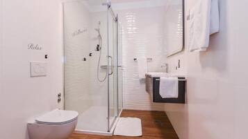 A modern bathroom with a glass shower enclosure, a toilet, a sink, and a mirror.