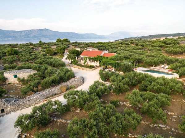 A coastal property with a stone house, a swimming pool, and olive groves. - Villa Roza (Postira)
