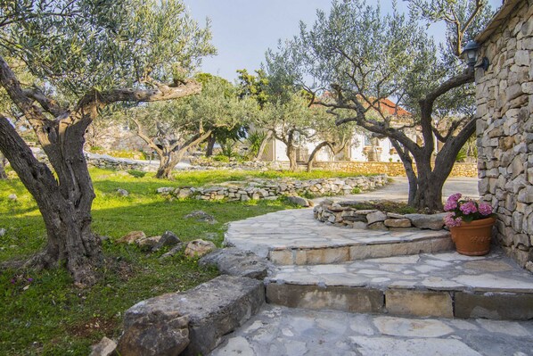 A stone pathway leading to a building with a stone wall and a potted plant. - Villa Roza (Postira)
