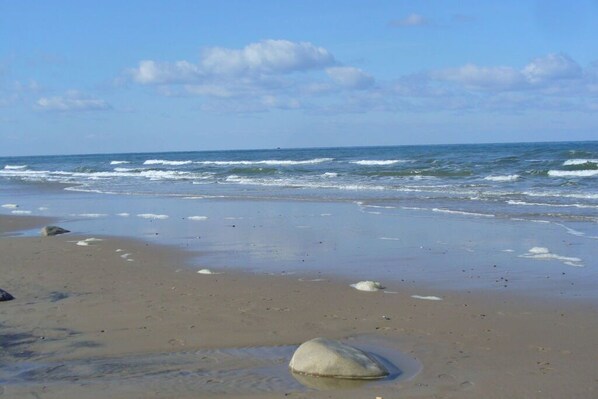 Beach - Seehund Comfortable holiday residence (Juliusruh)