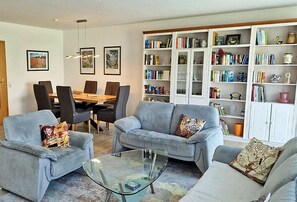 TV connectée, cheminée, lecteur de DVD, livres