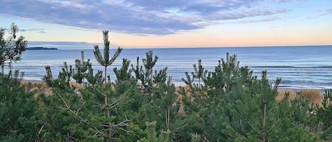 海滩