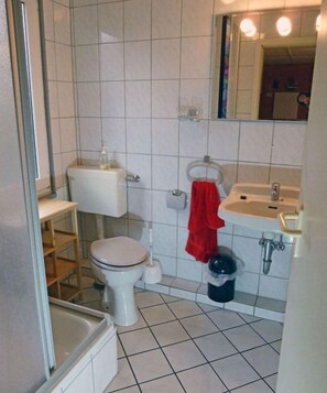 Bathroom features a toilet, sink, and mirror, with a towel and trash bin nearby.