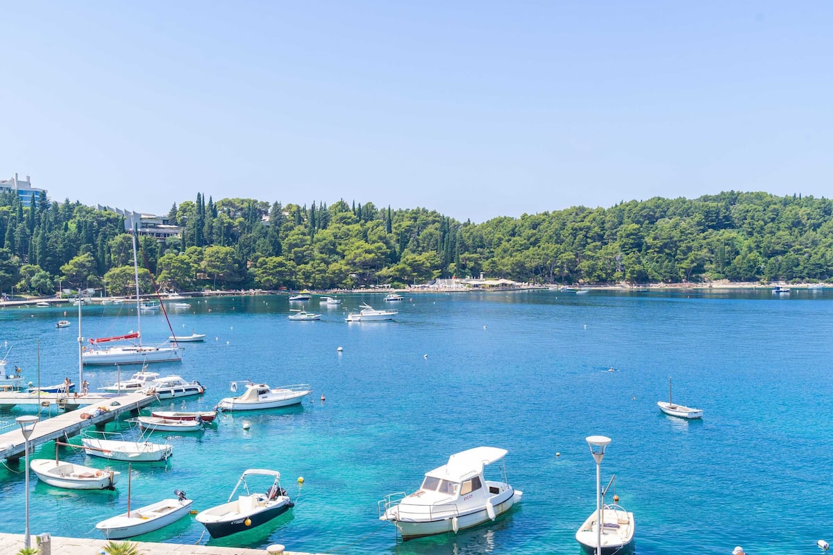 A marina with various boats docked, surrounded by a clear blue sea and a forested hillside.