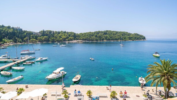A marina with boats docked, a clear blue sea, and a tree-lined shore. - Apartments Villa Royale (Konavle)