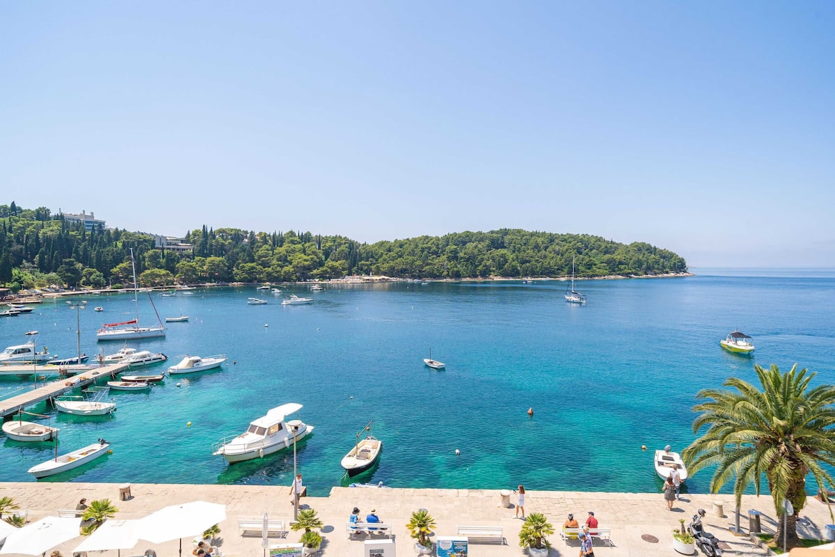 A marina with boats docked, a clear blue sea, and a tree-lined shore.