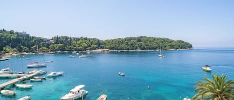 公寓 (One Bedroom Apartment with Sea View) | 客房景观