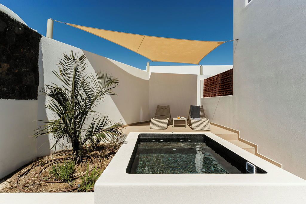 A modern outdoor pool area with a hot tub, lounge chairs, and a palm tree.