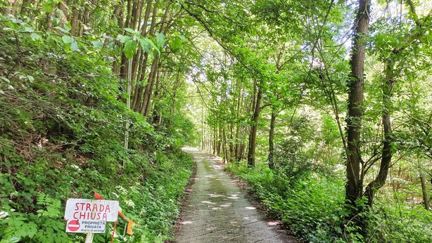 Un sendero estrecho y sin pavimentar rodeado de vegetación densa y árboles. Un letrero indica que es propiedad privada.