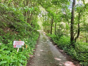 Un sendero estrecho y sin pavimentar rodeado de vegetación densa y árboles. Un letrero indica que es propiedad privada.