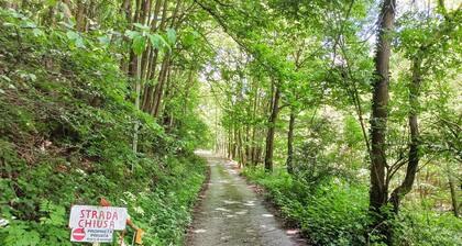 Alivè Home & Panoramic Garden on Liguria Hills