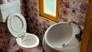 Shower, soap, toilet paper