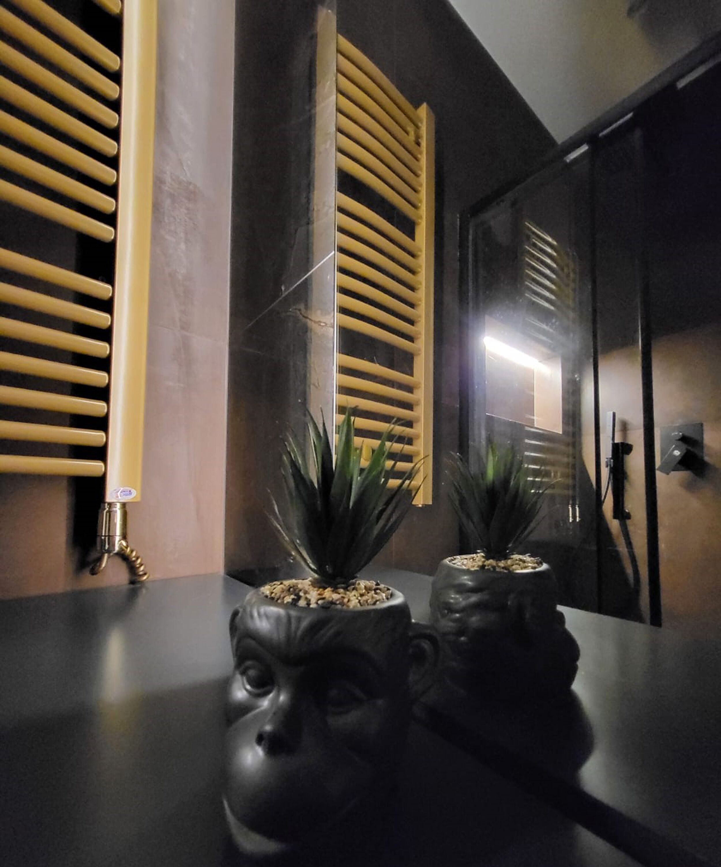 Un interior moderno con un mostrador de tonos oscuros, un espejo fijado a la pared y dos plantas en macetas con texturas interesantes.