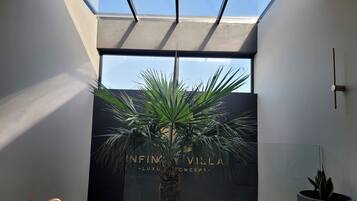 A modern interior with a large window, a palm plant, and a sign reading "INFINITY VILLA LUXU CONCEPT".