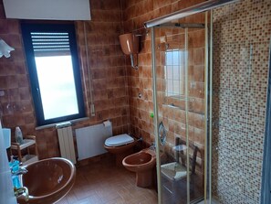 Shower, hair dryer, bidet, towels