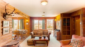 TV, fireplace, DVD player
