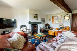 TV, fireplace, offices