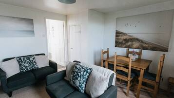 Télévision, cheminée, livres, espaces bureaux