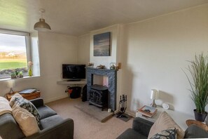 Fernseher, Kamin, Bücher, Arbeitsbereiche