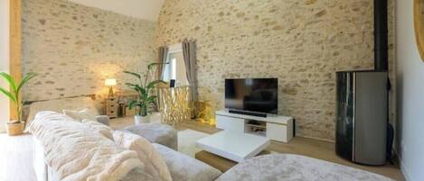Smart TV, fireplace, books