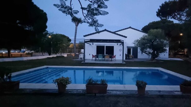 Una piscina con un pequeño patio, rodeado de plantas en macetas y árboles.