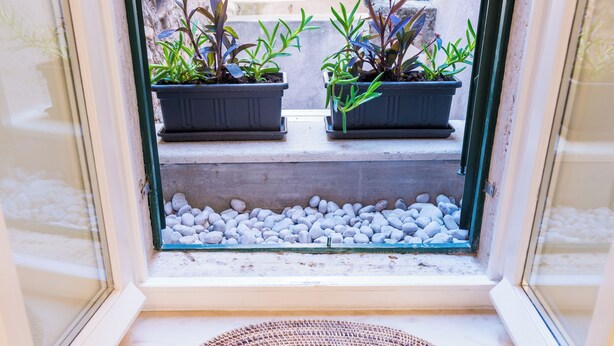 A window with two potted plants on a ledge and a woven mat on the floor.