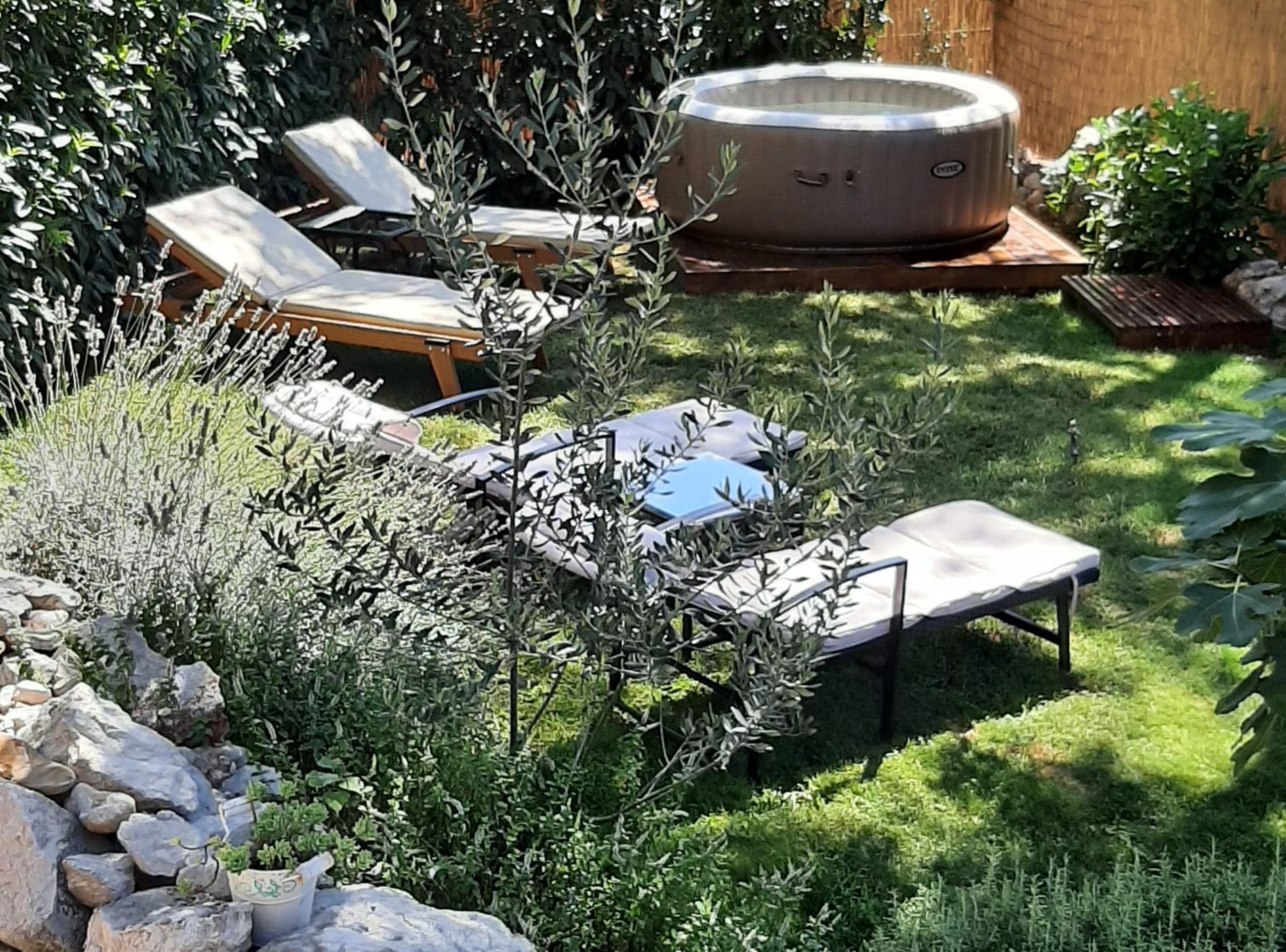 A backyard with a hot tub, lounge chairs, and various plants.