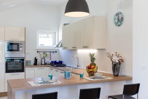Apartment (Three Bedroom Apartment with Balcony) | Private kitchen