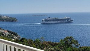 Un navire de croisière navigue sur une mer bleue et limpide, avec une côte visible à l’horizon.