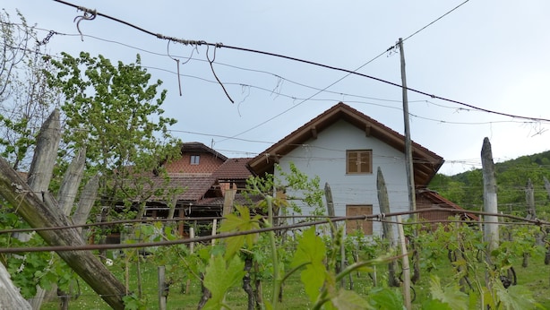 Una casa rústica con techo de tejas, rodeada por un viñedo.