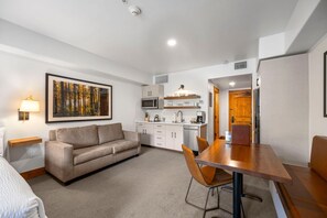 TV - Captivating Studio  with Balcony (Tamarack)