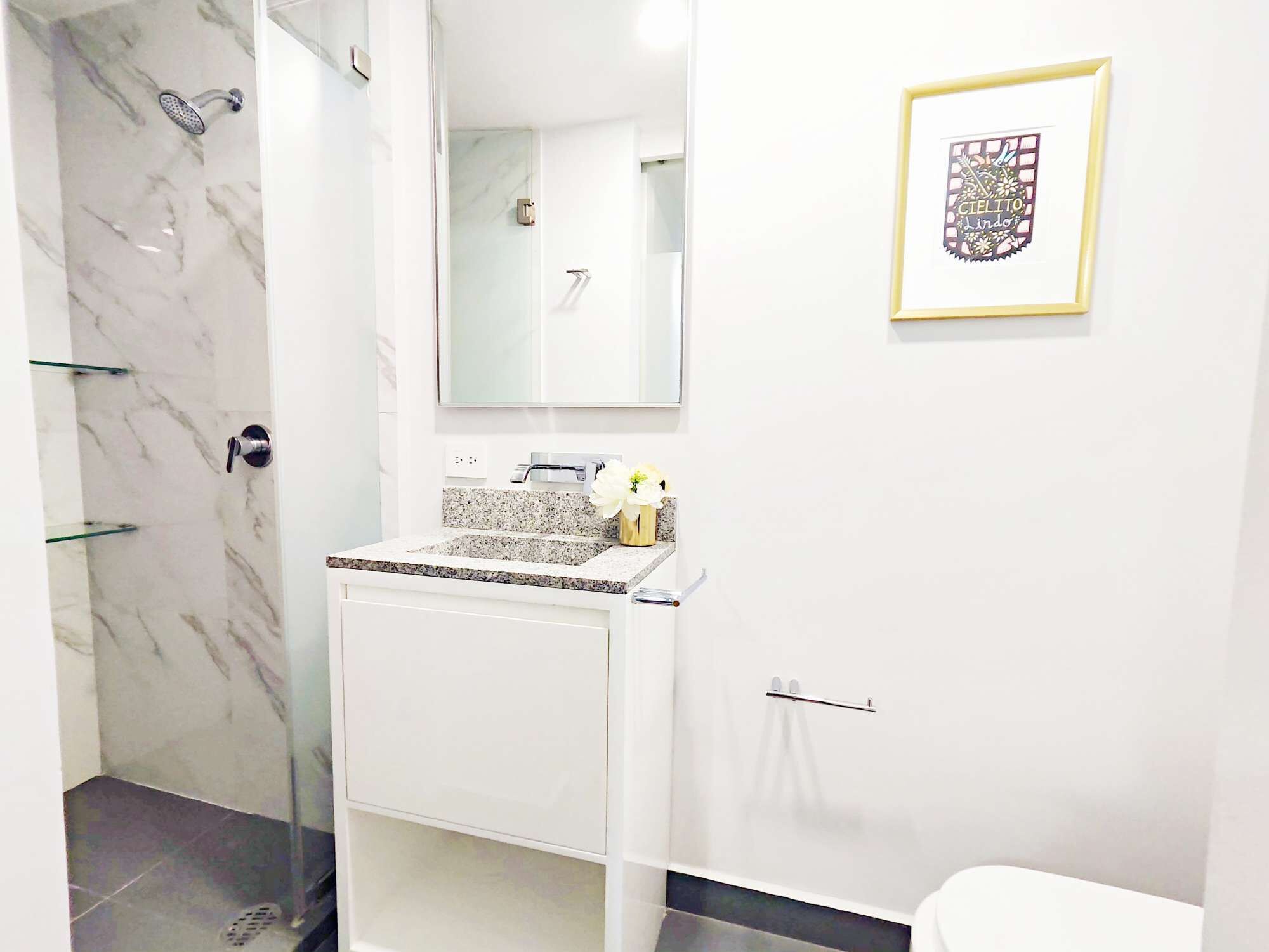 Shower, hair dryer, towels