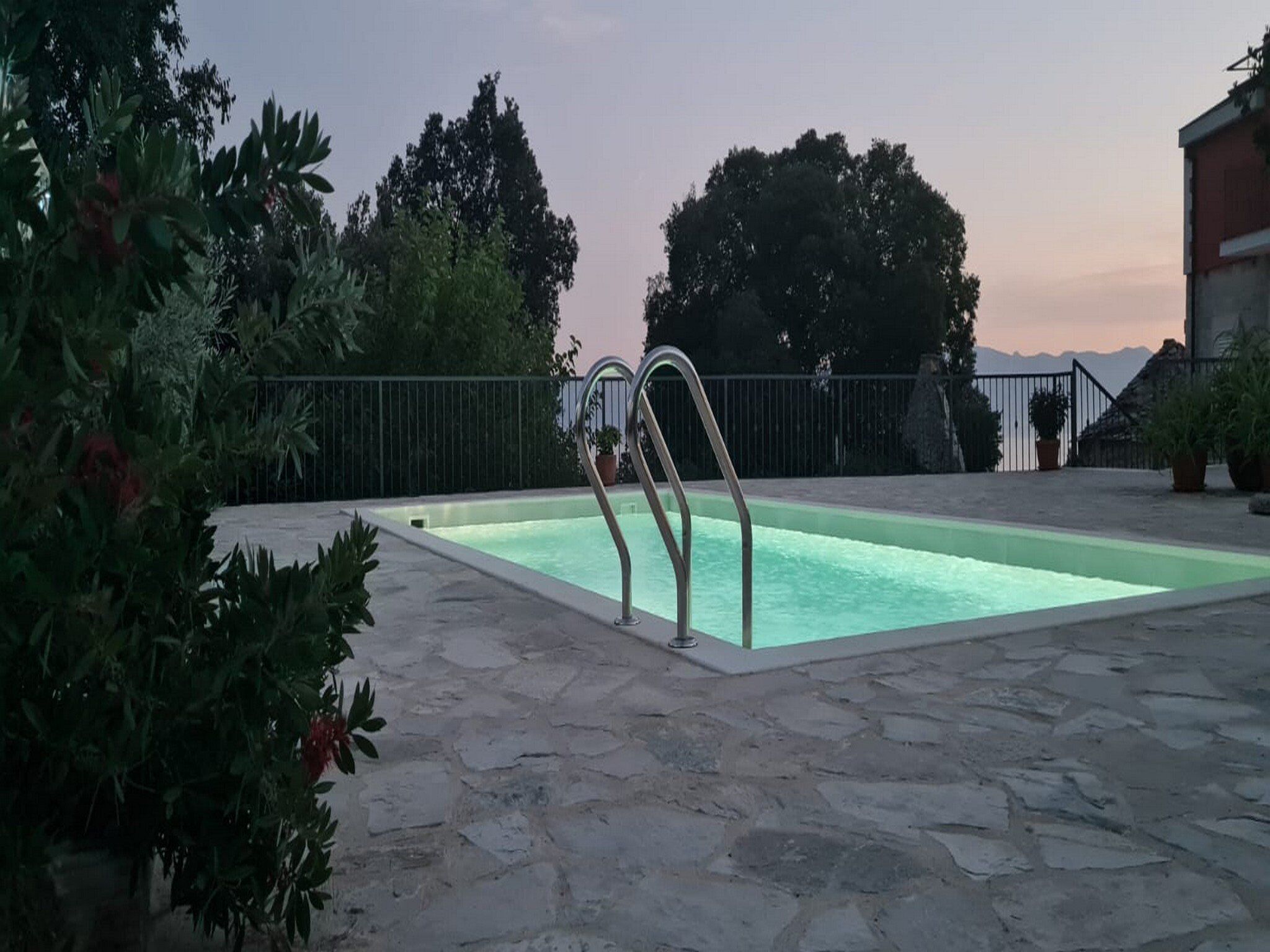 A rectangular swimming pool with a metal ladder, surrounded by stone tiles and potted plants.