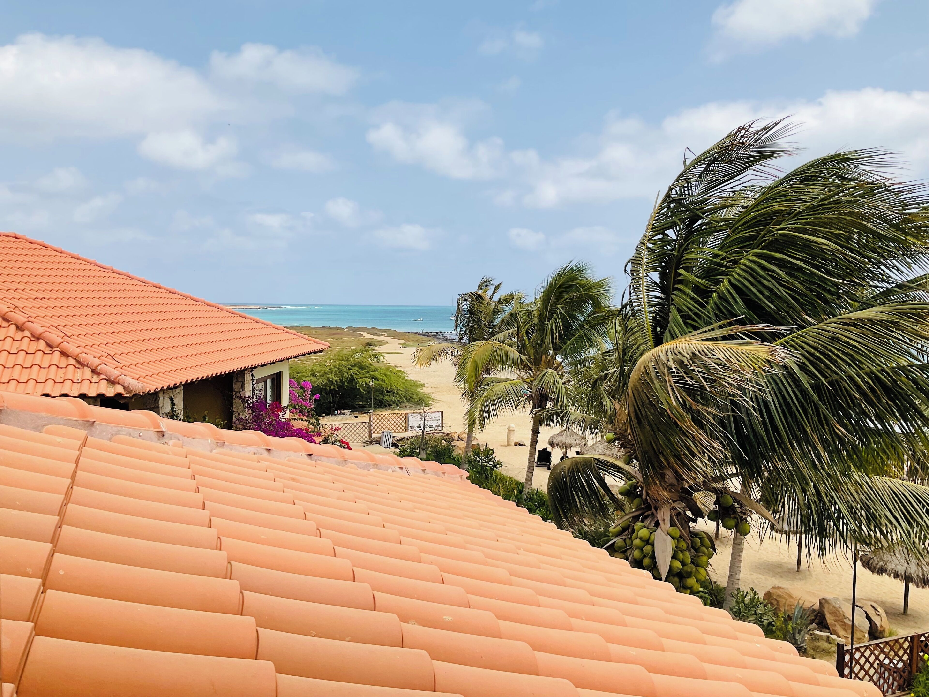 Apartamento, 1 quarto, para fumantes, piscina particular | Praia