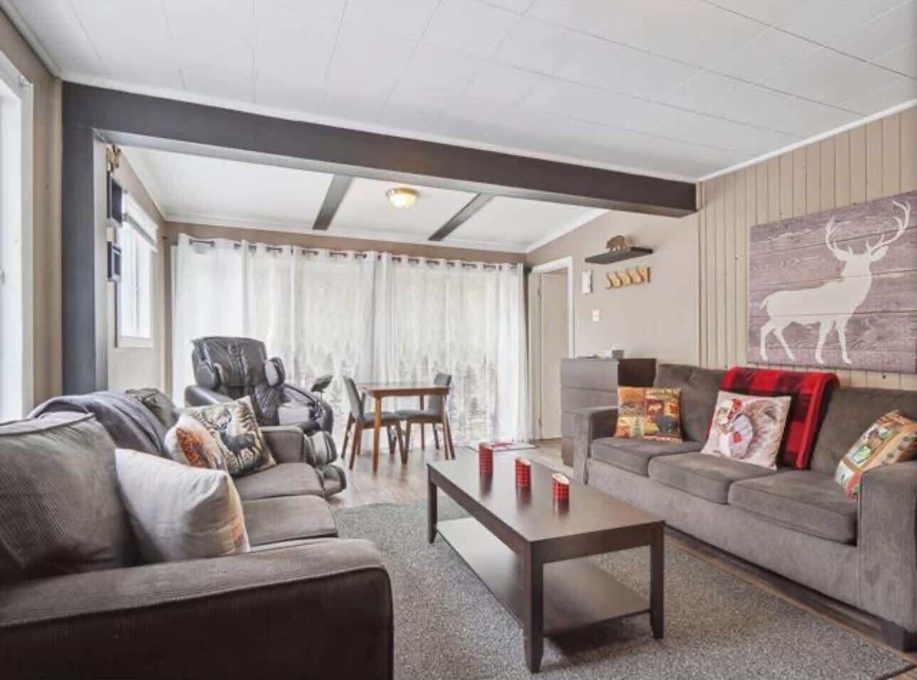 Télévision, cheminée, chaîne hi-fi