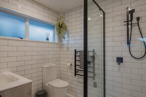 Shower, hair dryer, towels