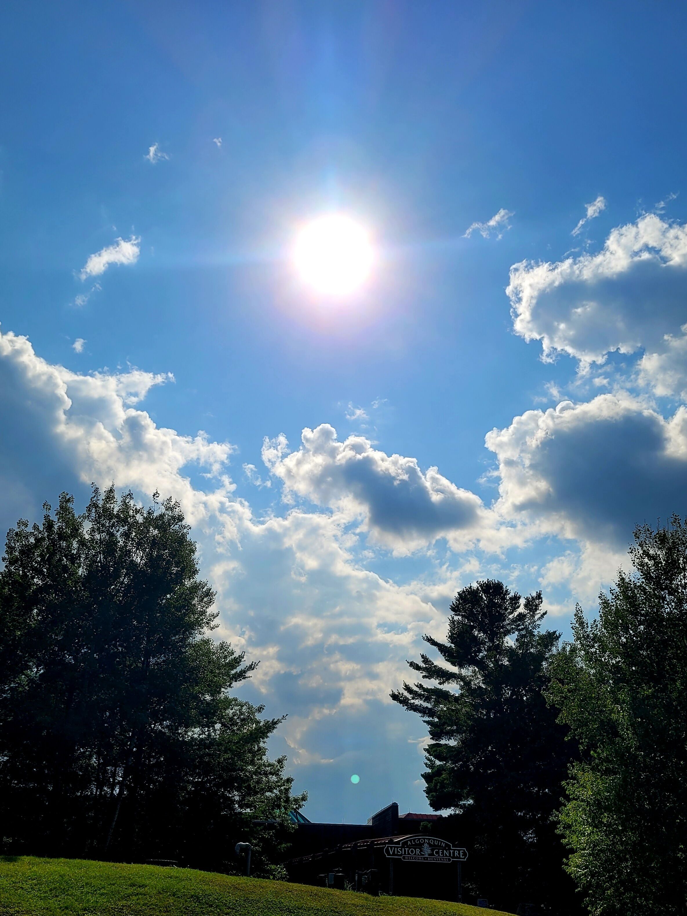 A clear sky with the sun shining through scattered clouds, surrounded by trees.