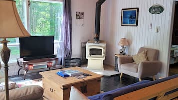Smart-tv, eldstad och dvd-spelare