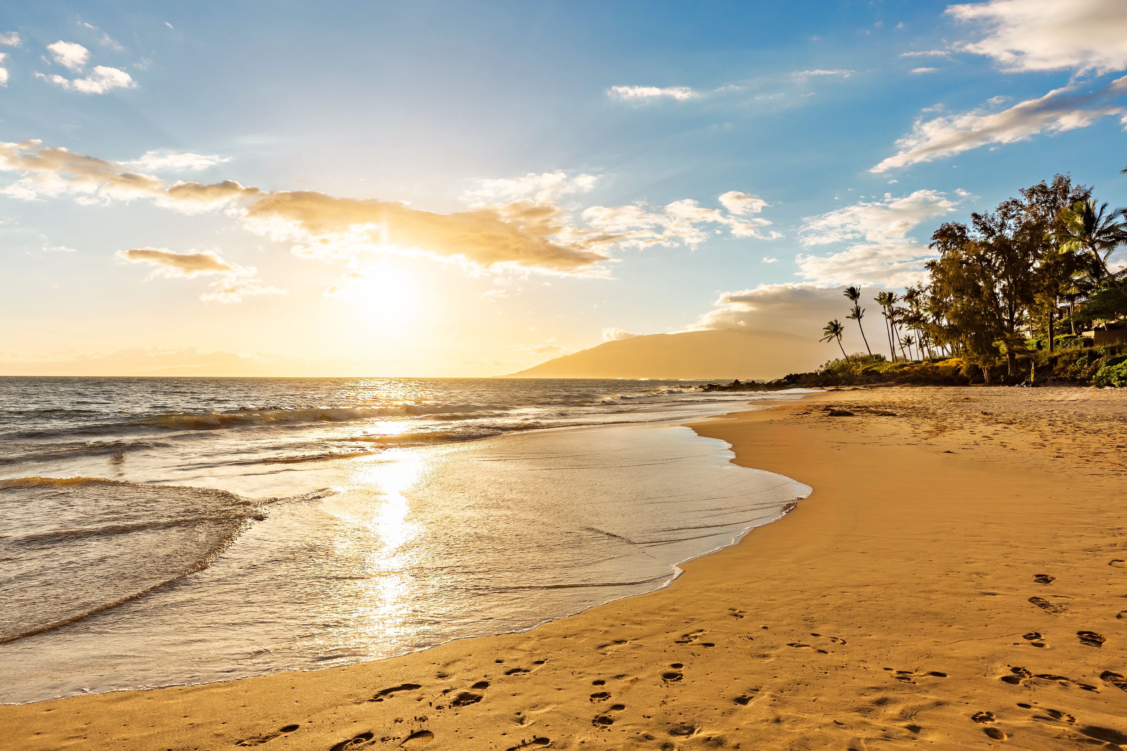 A beach with footprints leading to the water, palm trees, and a clear sky.