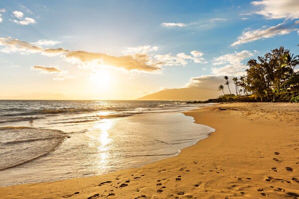 A beach with footprints leading to the water, palm trees, and a clear sky.
