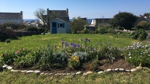 A garden with a small blue house surrounded by various plants and flowers.