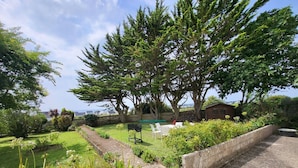 A garden with a lawn, a bench, and a small shed.