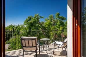 Property grounds - Villa Cehici by Villas Guide (Sveti Lovrec)