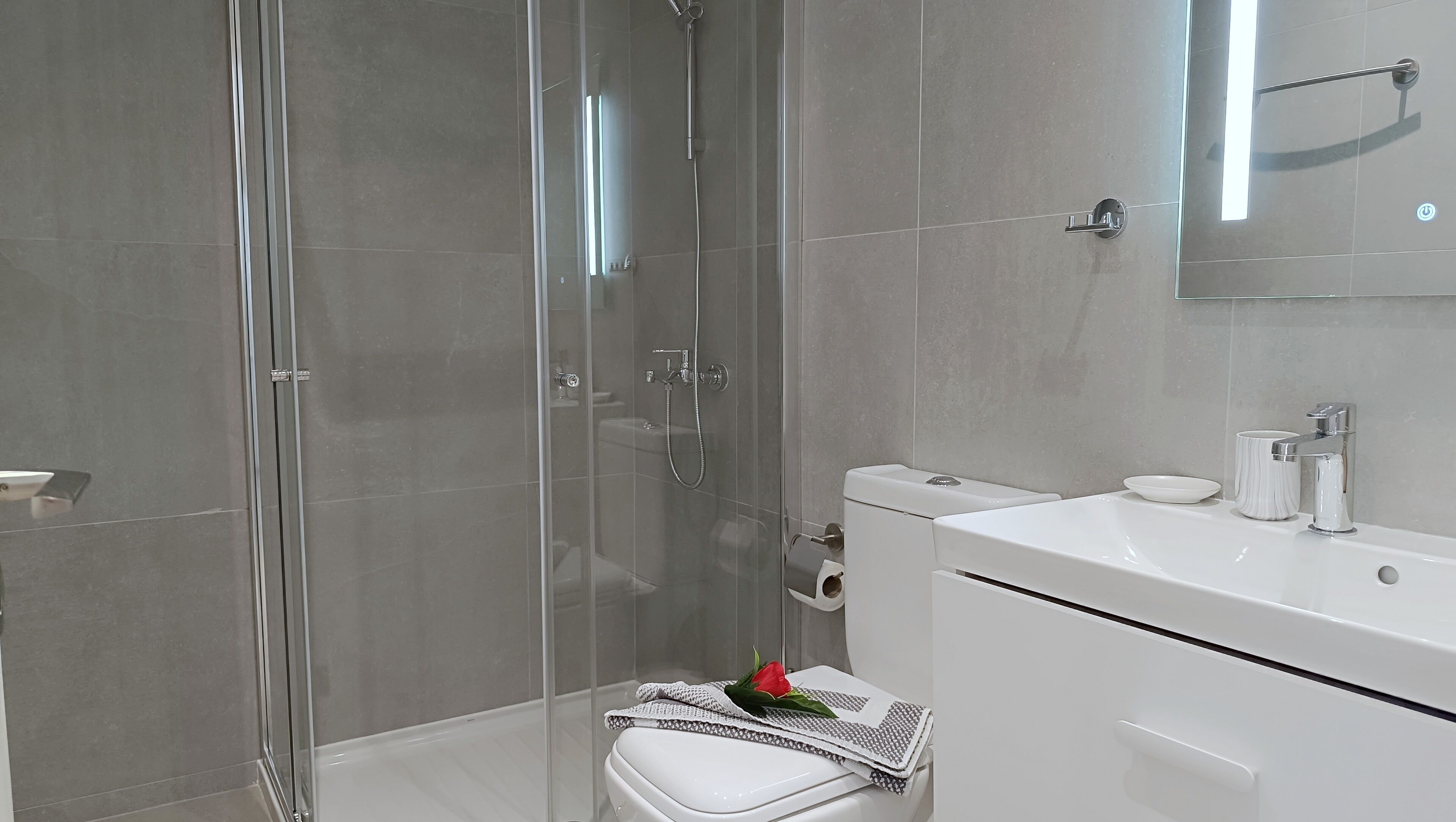 A modern bathroom with a glass shower enclosure, a white toilet, and a sink with a mirror above it.