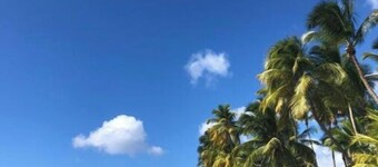 Chez Laurenn Elégant rez de Villa Situé Dans la Ville Balnéaire du Carbet