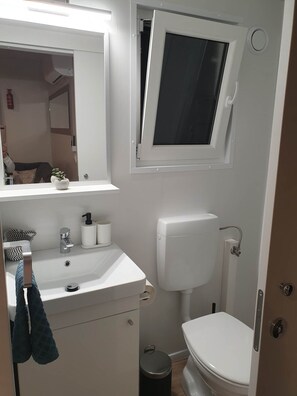 Un baño con lavamanos, espejo, inodoro y ventana.